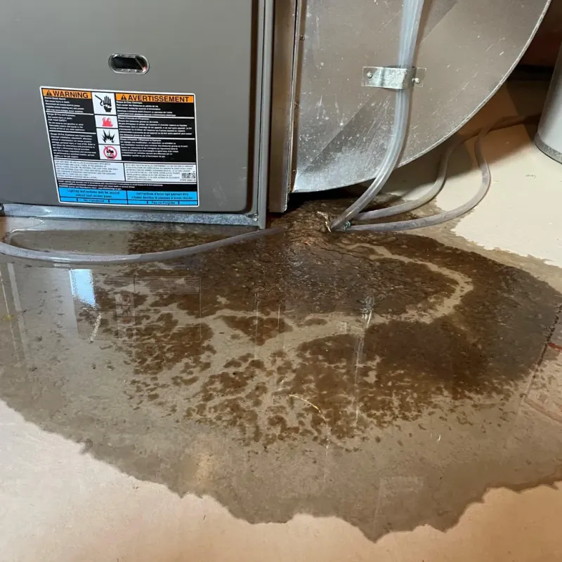 Appliance Leak Cleanup in New Whiteland, IN